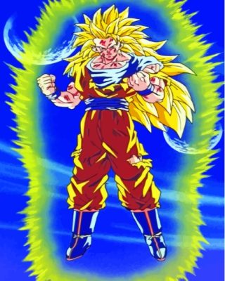 Dragon Ball Z Super Saiyan 3 Paint By Numbers