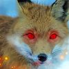 Fox With Red Eyes Paint By Numbers