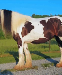 Gypsy Vanner Horse Paint By Numbers