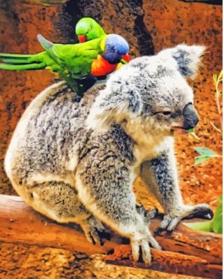 Koala And Lorikeet Paint By Numbers