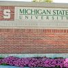 Michigan State Public University Paint By Numbers