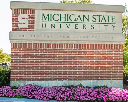 Michigan State Public University Paint By Numbers