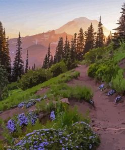 Pacific Crest Trail National Park Paint By Numbers