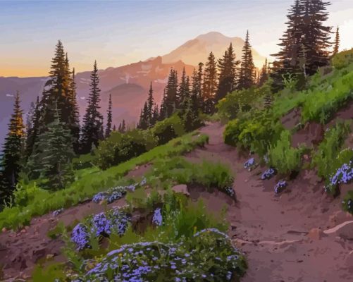 Pacific Crest Trail National Park Paint By Numbers