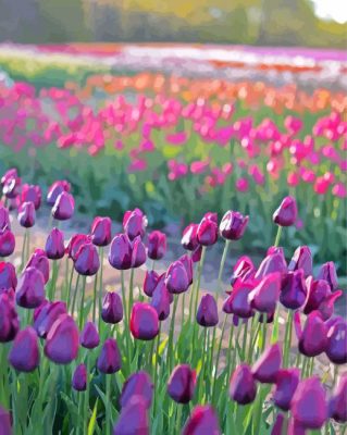 Purple Tulips In Field Paint By Numbers