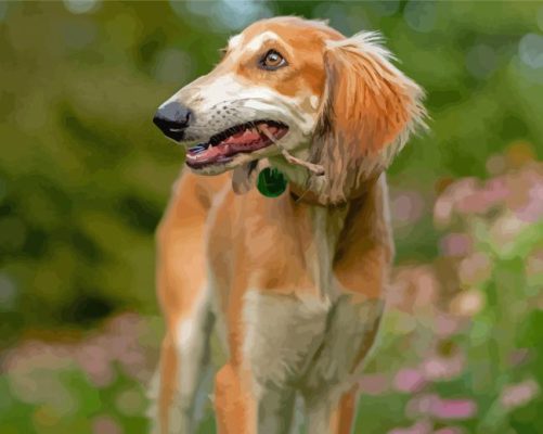 Saluki Holding Branch In His Mouth Paint By Numbers