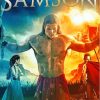 Samson Poster Paint By Numbers