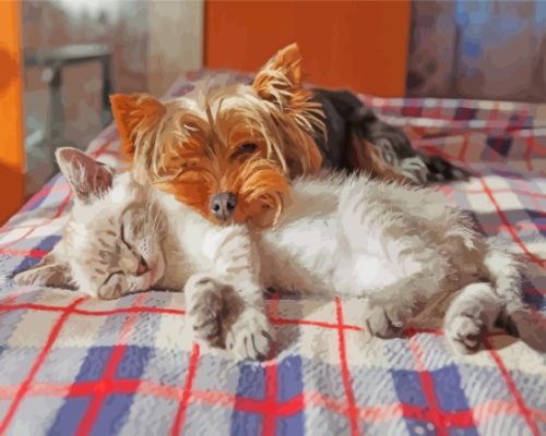 Sleeping Little Dog And Cat Paint By Numbers