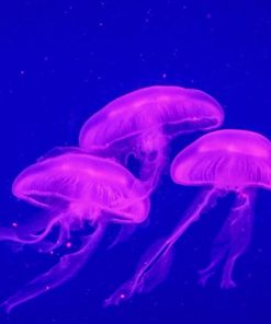 Three Blue And Purple Jellyfish Underwater Paint By Numbers