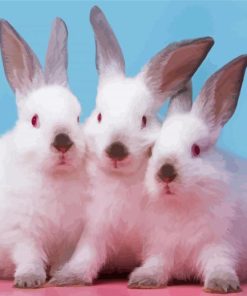 White Three Bunnies Paint By Numbers