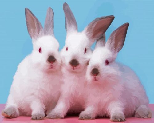 White Three Bunnies Paint By Numbers