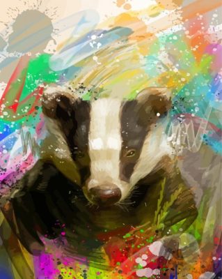 Abstract Badger Paint By Numbers