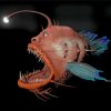 Anglerfish Paint By Numbers