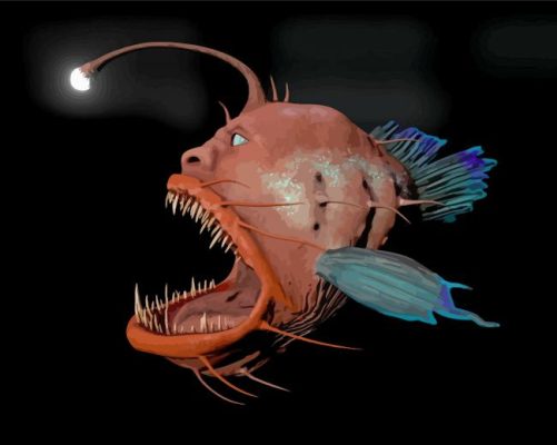 Anglerfish Paint By Numbers