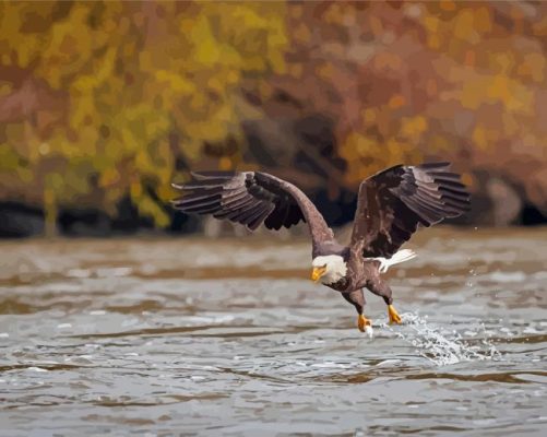 Bald Eagle On River Paint By Numbers