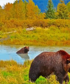 Bear In Water Alaska Paint By Numbers