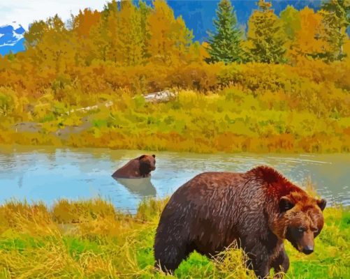 Bear In Water Alaska Paint By Numbers