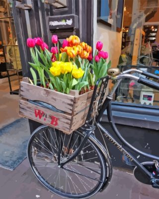 Bicycle And Tulips Paint By Numbers