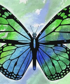 Blue And Green Butterfly Paint By Numbers