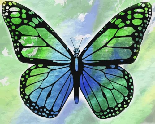 Blue And Green Butterfly Paint By Numbers