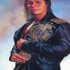 Bret Hart Wrestler Paint By Numbers