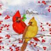 Cardinal Couple In Snow Paint By Numbers