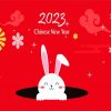 Chinese New Year Of The Rabbit Paint By Numbers