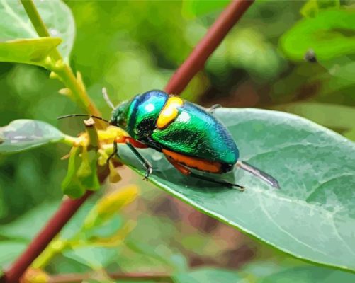 Christmas Beetle Insect Paint By Numbers