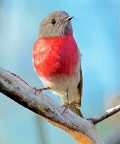 Close Up Rose Robin Paint By Numbers