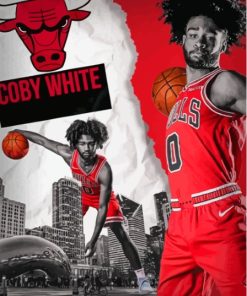 Coby White Player Poster Paint By Numbers