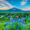 Crested Butte Town Paint By Numbers