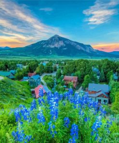 Crested Butte Town Paint By Numbers