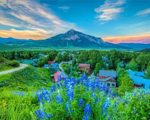 Crested Butte Town Paint By Numbers