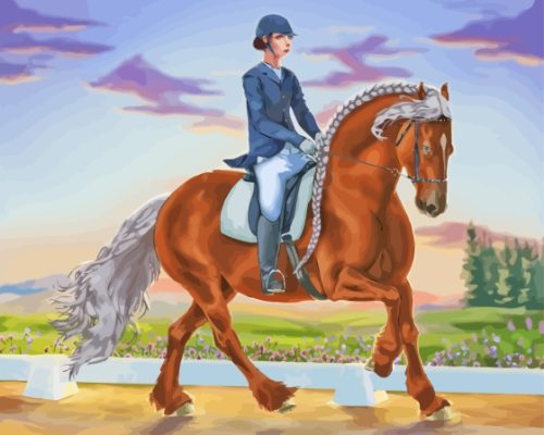 Dressage Horse Sport Paint By Numbers