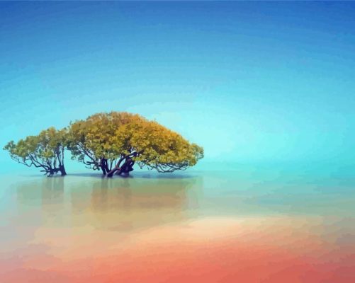 Foggy View Of A Tree In Broome Paint By Numbers