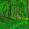 Forest Greenery Trees Paint By Numbers