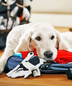 Golf Dog With Golf Equipments Paint By Numbers