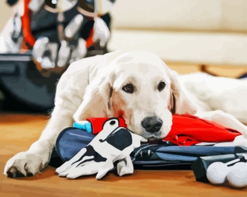 Golf Dog With Golf Equipments Paint By Numbers