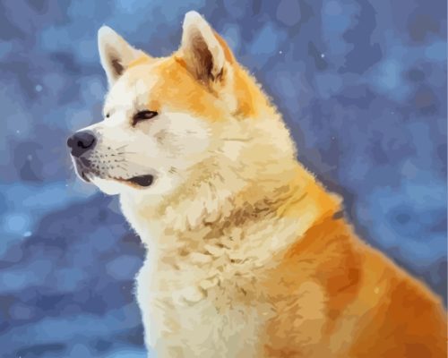 Hachiko Akita Paint By Numbers