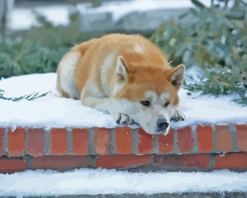 Hachiko In Snow Paint By Numbers