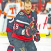 Hockey Player Ottawa Senators Team Paint By Numbers