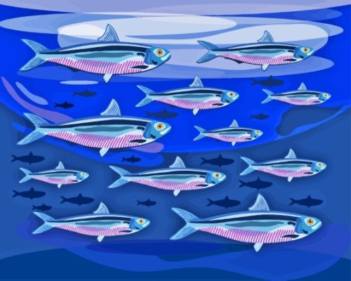 Illustration Sardines Fish Underwater Paint By Numbers