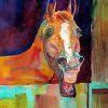 Laughing Horse Brown Paint By Numbers