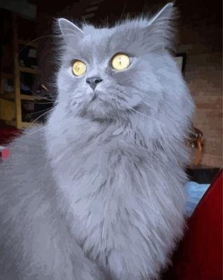 Longhair Grey Cat Yellow Eyes Paint By Numbers