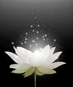 Magical White Lotus Paint By Numbers