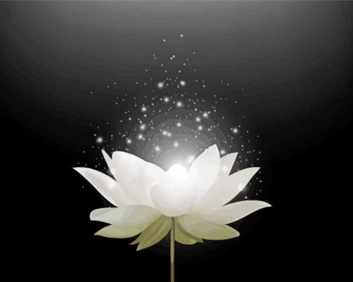 Magical White Lotus Paint By Numbers