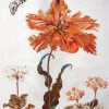 Maria Sibylla Merian Paint By Numbers