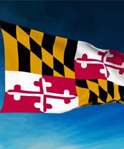 Maryland State Flying Flag Paint By Numbers