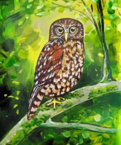 Morepork Bird Paint By Numbers