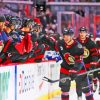 Ottawa Senators Team Paint By Numbers